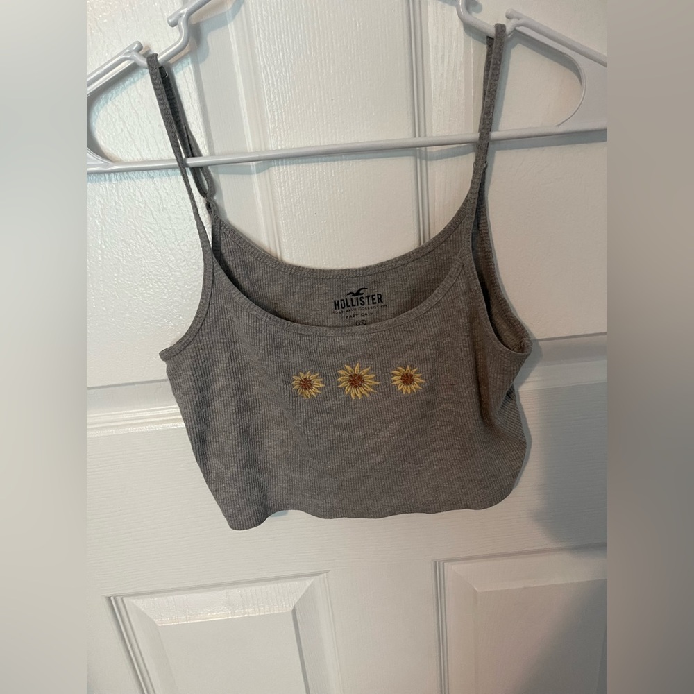 Hollister crop